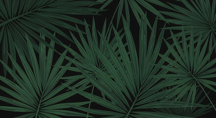 Fototapeta premium Dark green palm leaves pattern isolated on a transparent background
