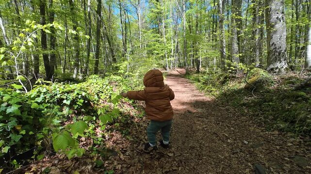 Child walking and playing on a path in a green forest