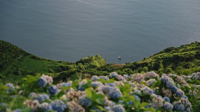 Fabulous magical Cinematic High-Angle View of a Lone Sailboat in the Atlantic Ocean Framed by Lush Green Cliffs and Blue Hydrangeas, Flores Island, Azores