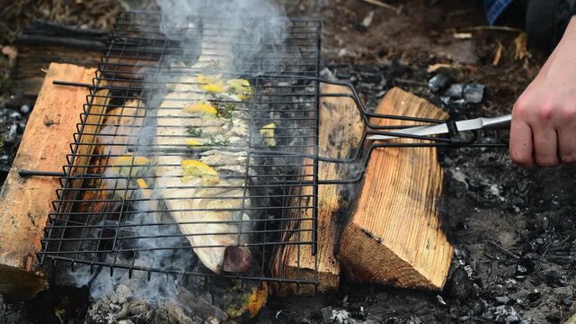 Close up of a hand holding a grill grate with fish over hot campfire coals. Outdoor cooking scene in the forest with fire, smoke and camping atmosphere.