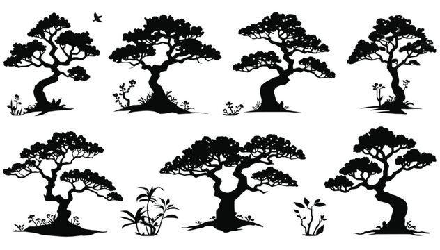 Bonsai trees arranged in a collection provide a minimalist decorative element that serves as a versatile graphic resource for designers seeking to incorporate natural shapes into their artistic.