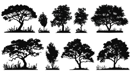 Fototapeta premium Trees represented as black silhouettes are arranged in a horizontal row to provide a versatile collection of organic shapes for various design projects that require nature-inspired graphic elements.