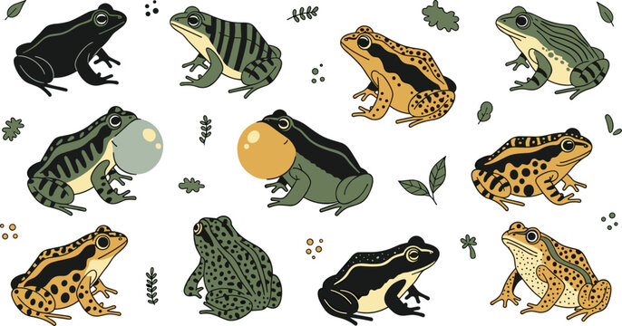 Diverse collection of hand drawn frog and toad vector illustrations featuring various species patterns and vocal sac poses for biology education and swamp nature themed projects.