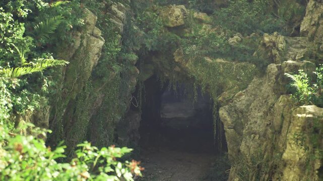 Hidden mossy cave nestled in greenery, soft filtered light at mouth of grotto, quiet interior suggesting refuge and meditation spot, gentle plant growth