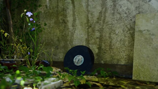 Vinyl record leaning against concrete wall, moss and small purple flowers surround discarded electronics, gritty texture and damp patina evoke moody urban