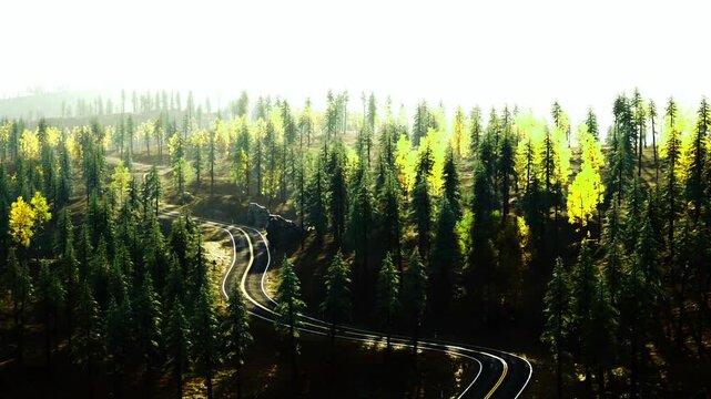 Curved road slicing forest with glowing guardrails. Aerial perspective of twisting roadway passing through woods with illuminated safety barriers at dusk