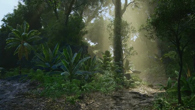 Sunlit tropical forest floor with mist, ideal for botanist survey and plant inventory dense ferns and moss carpet ground, muddy trail leading deeper into