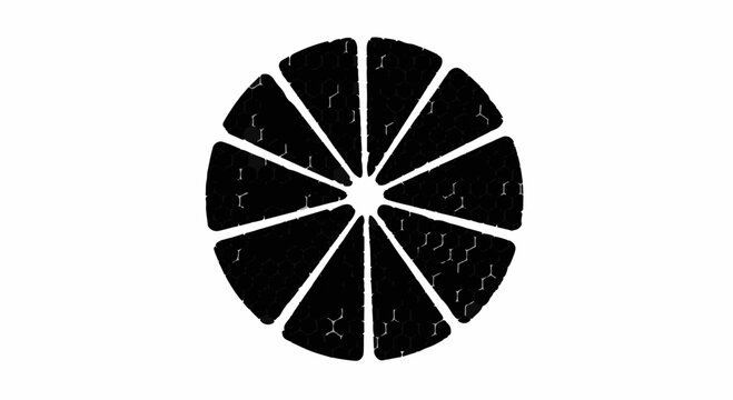 Abstract black and white stylized citrus slice with textured segments on a clean background.