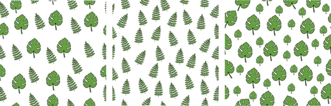 Tropical leaf pattern with monstera and fern leaves on white background