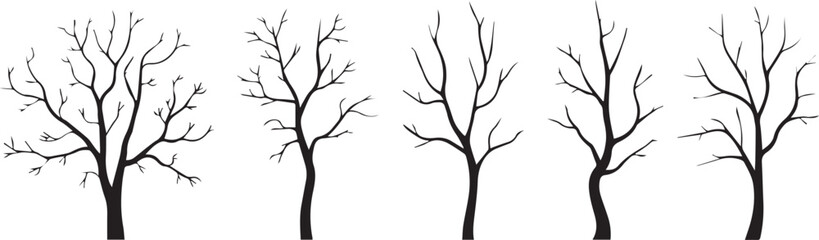 Fototapeta premium Five bare trees in a row on white background during winter season