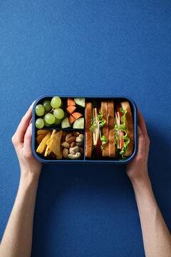 Modern blue bento box with a healthy balanced meal