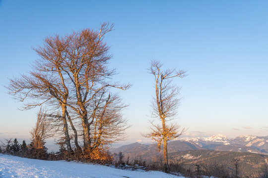 Tranquil sunset view of the snowy Alps landscape