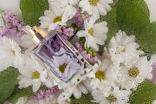Perfume bottle on floral background with water drops