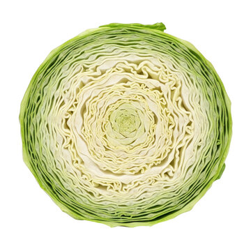 Cross section of fresh green cabbage head showing intricate leaf layers and organic core.