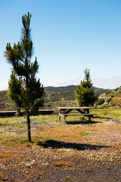 Spring picnic spot in Canary Islands mountain landscape
