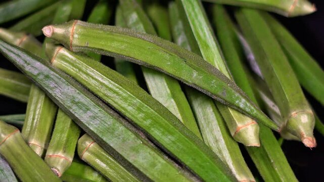 Organic Raw Lady Fingers Bhindi Stack - Healthy Tropical Vegetable for Asian Cuisine. Nutrition Rich Raw Okra Vegetable. Farm Fresh Green Vegetables.