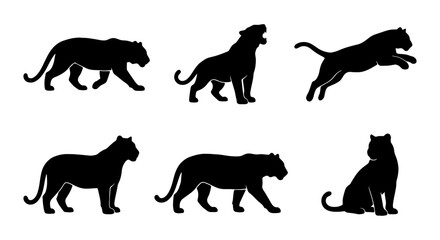 Tiger Silhouettes Collection, Wild Cat Vector Icons, Big Cat Poses, Graphic Elements © ImageScape