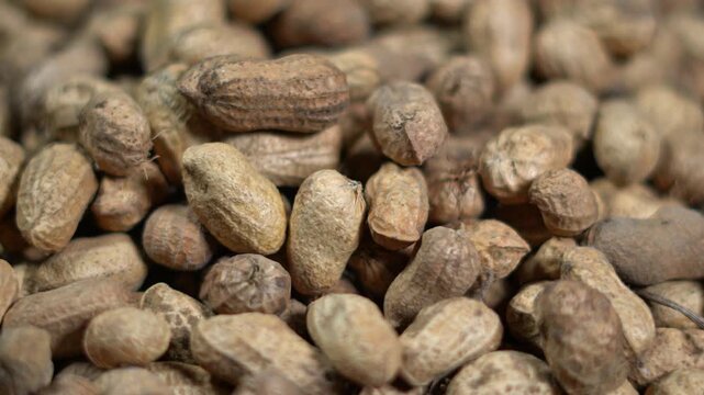 Raw Indian Peanuts and Groundnuts Organic Food Texture Video. Peanut and Groundnut Texture Close Up.