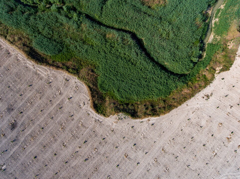 Pistachio orchards on heavily eroded semi-arid terrain with calcareous badlands formations. The landscape reflects soil degradation, dryland agriculture and desertification risk.