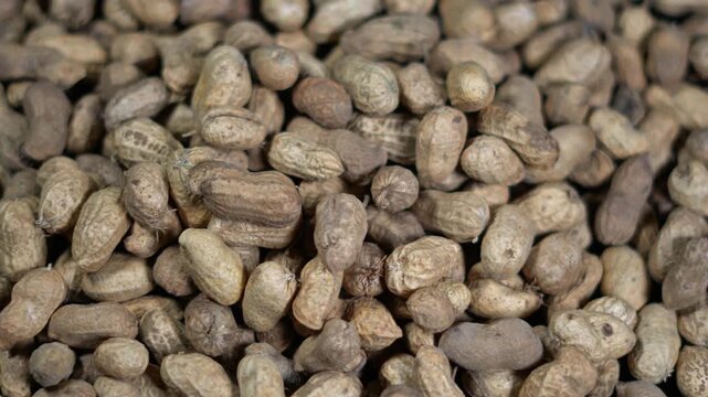 Natural Raw Peanuts in Shells Background for Healthy Snack Industry