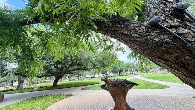 Texas Christian University, located in the vibrant city of Fort Worth, Texas, is better known as TCU. With its rich traditions and dynamic campus life, TCU offers a unique blend of academic excellence
