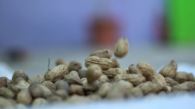 Close Up of Raw Peanuts in India Healthy Organic Groundnut Food Macro Video. Groundnut Peanuts Macro Shot for Agriculture and Healthy Food Concept.  Raw Peanut Seeds and Groundnuts Close Up.