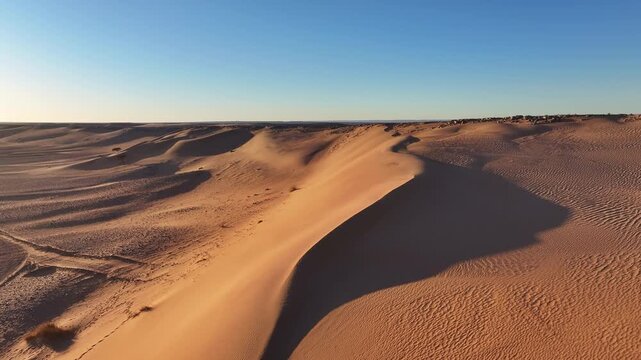Aerial drone footage of sweeping golden sand dunes with sinuous ridge under vivid blue sky, Sahara desert Morocco