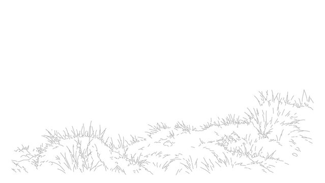 set of shrubs line cad, minimal isolated on white background. Ground cover. Illustration for elevation architectural element, side view, grass section. Turf coating banners for edging