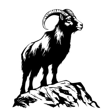 A majestic mountain goat stands proudly on a rocky outcrop, its silhouette sharply defined against a stark background, exuding strength and resilience. vector illustration