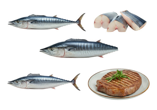Whole fresh mackerel and mackerel fillets arranged with a plated grilled beef steak garnished with herbs on a transparent background