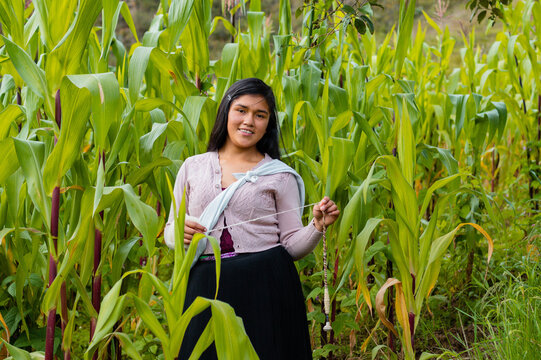 Campesina atractiva con hilada en la mano y ropa tradicional.Costumbres ancestrales del campo peruano. Tradici&oacute;n, cultura y vida rural andina.Quechua .