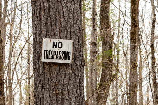 No Trespassing Sign on a Tree