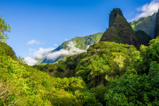 The lush forests of Iao Valley in Maui Hawaii