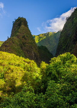 The lush forests of Iao Valley in Maui Hawaii