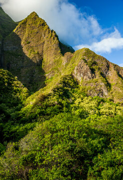 The lush forests of Iao Valley in Maui Hawaii