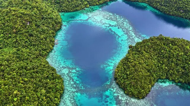 Jellyfish Sanctuary Sohoton lagoon in Philippines featuring islands and coral reef marine life