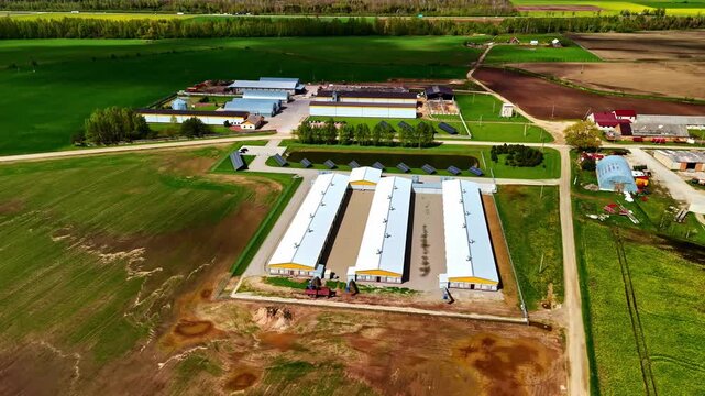 Aerial view of modern agricultural farm complex in Jelgava, Latvia with livestock barns, grain silos, solar panels, pond, and surrounding green fields