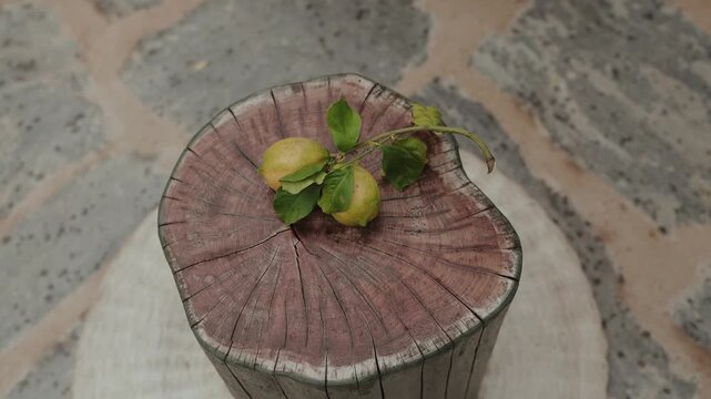 Fresh lemons with green leaves rest on weathered wooden tree stump on stone floor