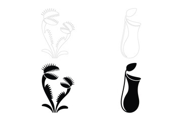 Venus flytrap and pitcher plant vector illustration with carnivorous, digestion © Sadek