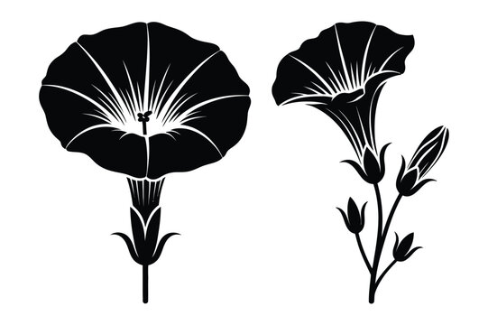 Petunia flowers and buds silhouettes with silhouette botanical background