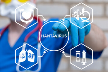 Concept of hantavirus disease health care research. Hantavirus epidemic infectious.