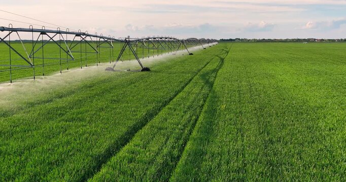 Slow motion drone shot of an irrigation system watering a wheat field, helping plants grow during the dry season and increasing crop yields - slow motion