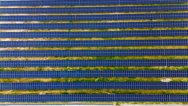 Aerial view of rows of blue solar panels in a large photovoltaic power plant with green grass between the structures in Sabac, Vojvodina, Serbia.