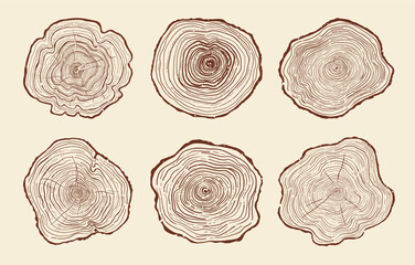 Tree trunk ring set. Luxury wood grain backgrounds. Hand drawn tree ring pattern abstract line art. Concentric circle patterns, organic stump, tree trunk in section textures. Templates stamps posters © neliakott