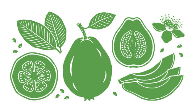 Hand Drawn Guava Fruit Vector Illustration Set in Linocut Block Print Style.
Organic Fresh Guava Whole, Sliced, and Leaves Elements for Healthy Food Packaging and Graphic Design.