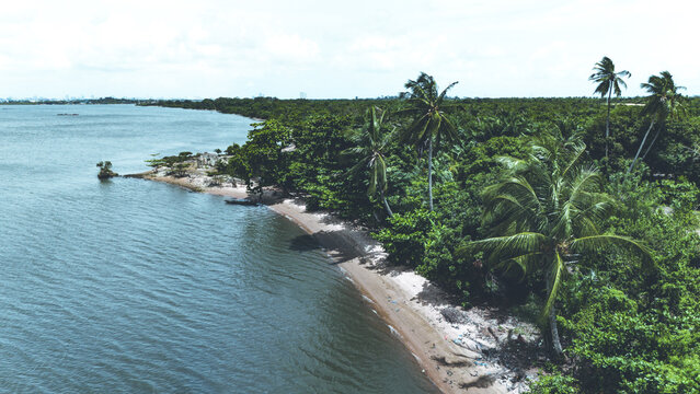 Aerial view of lush palm trees lining a sandy beach along the calm blue waters of the lagoon in Badagry, Lagos, Nigeria.