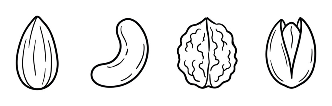 Almond cashew walnut pistachio nuts food ingredients healthy snack outline icon set vector illustration