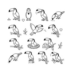 Fototapeta premium Toucan character doodle set Cute doodle character vector on white background