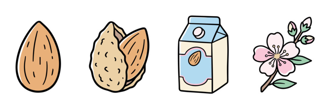Almond nut, shelled almond, milk carton, and blossom flower icons, hand-drawn vector illustration set for healthy food and drink concepts