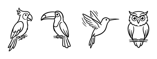Fototapeta premium Parrot toucan hummingbird owl birds icons set, simple line art vector illustration for nature and wildlife designs